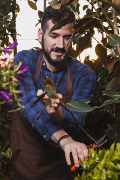 Curso de Jardinagem Profissional